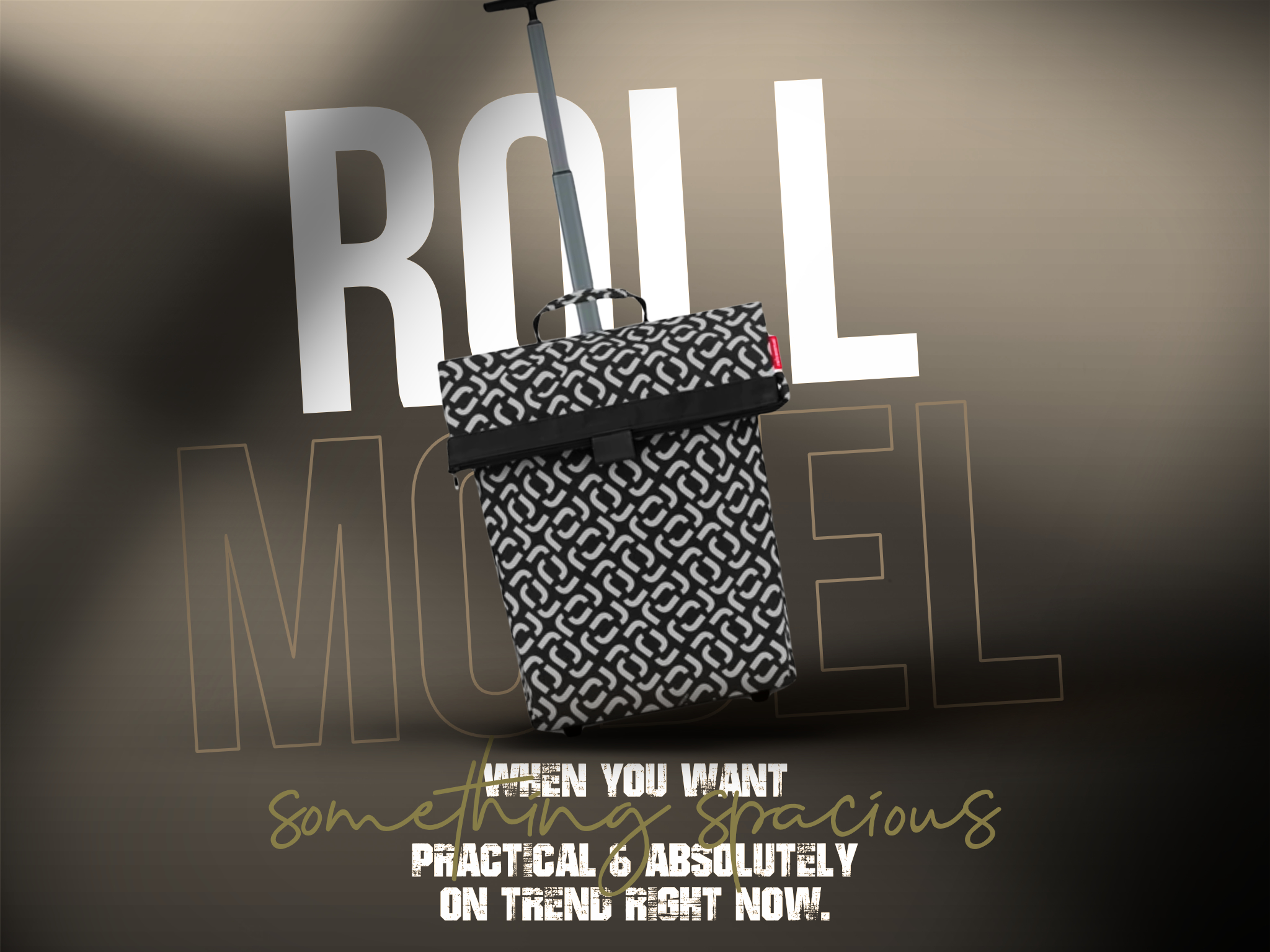 Declaration Reisenthel Singapore Trolley M