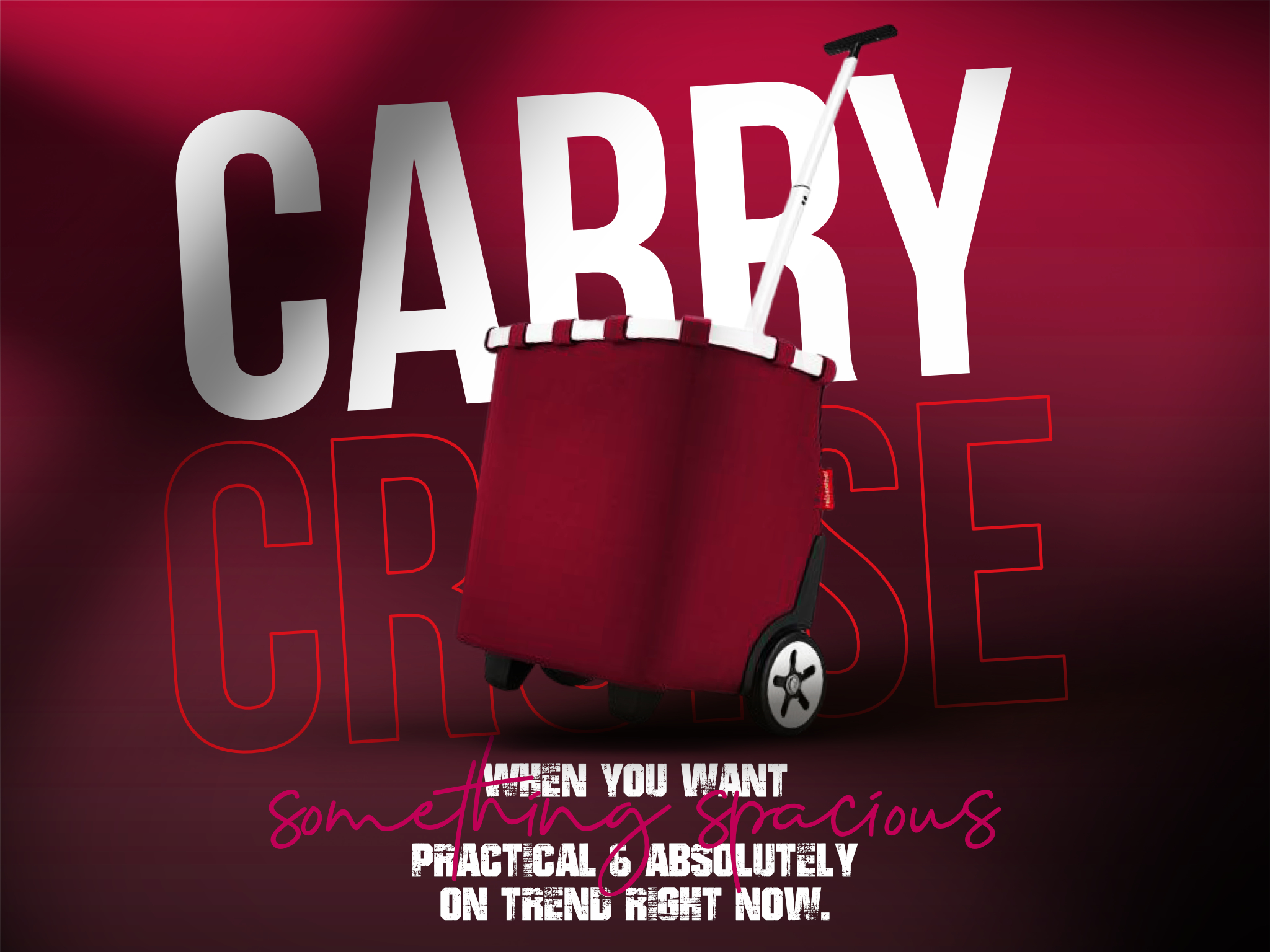 Declaration Reisenthel Singapore Carry Cruiser